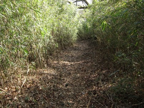 20200122hike (203)